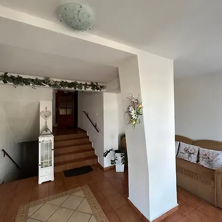 Nezábudka